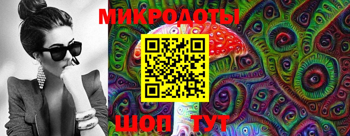 Псилоцибиновые грибы Psilocybe Ахтубинск